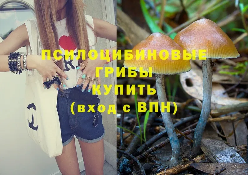 Псилоцибиновые грибы MAGIC MUSHROOMS  OMG ссылка  Кремёнки  купить наркотик 